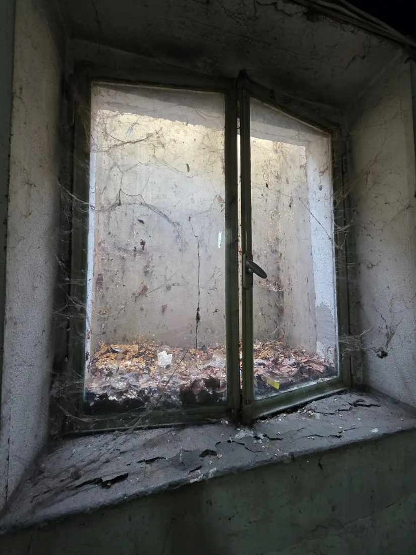 Fensterfront nach dem Bau vorher