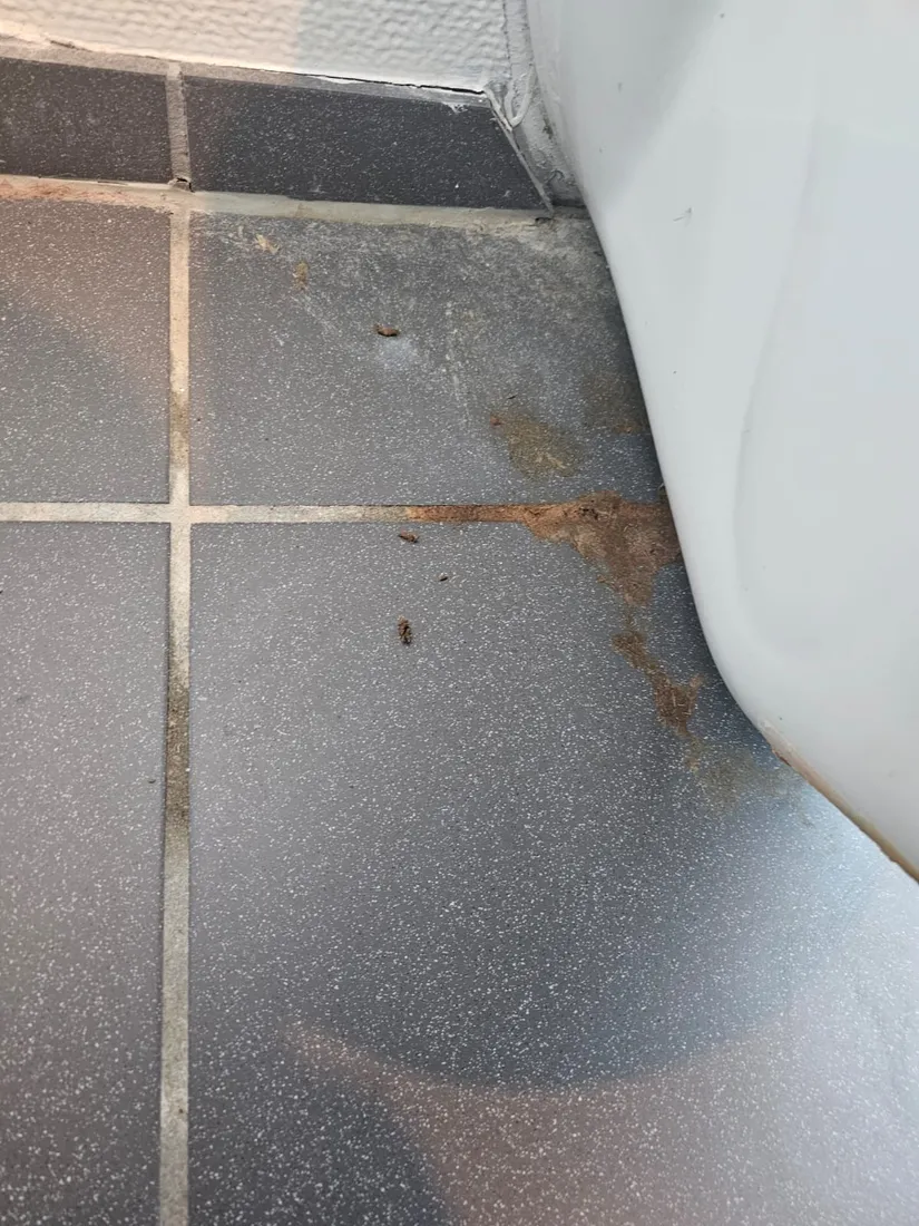 Fliesen am Urinal vorher