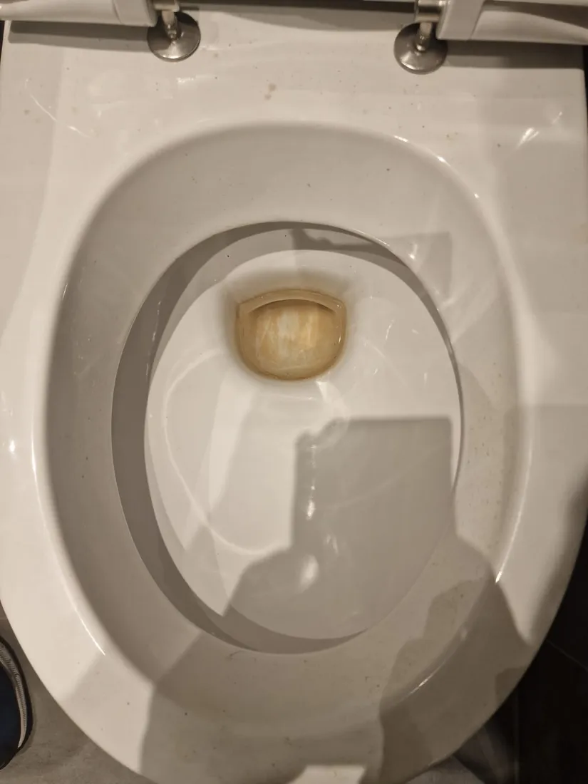 WC-Becken vorher